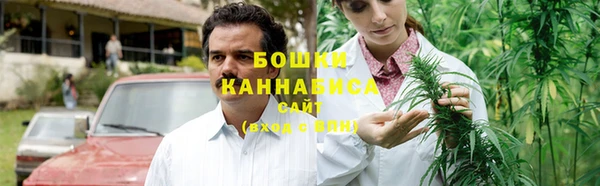 мдпв Горнозаводск