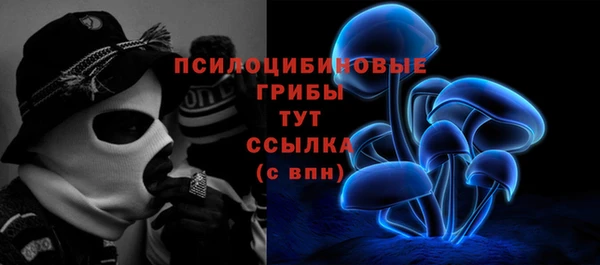 ECSTASY Горно-Алтайск
