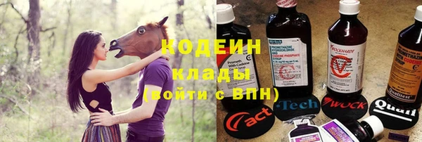 мдпв Горнозаводск