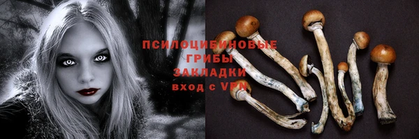 ECSTASY Горно-Алтайск